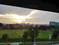 Blk 974 Jurong West Street 93 (Jurong West), HDB Executive #531835001
